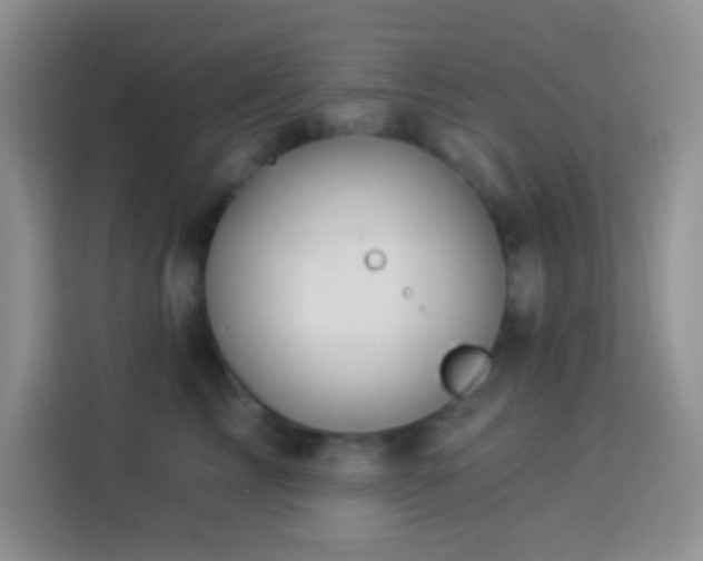 X0000113880713200910011132