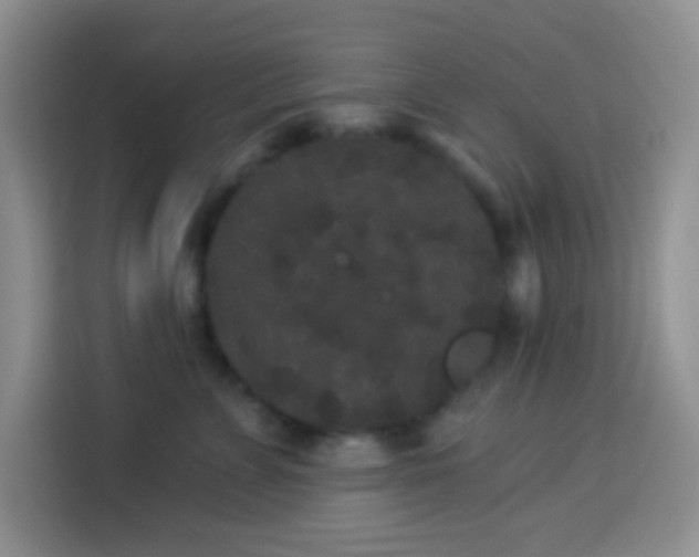 X0000113880715200910011132