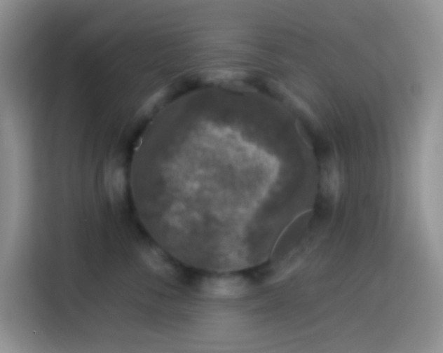 X0000113880716200910011132