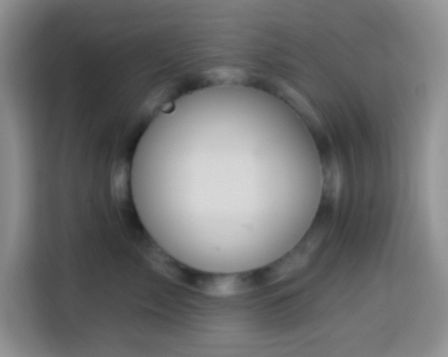 X0000113880717200910011132