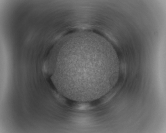 X0000113880719200910011132