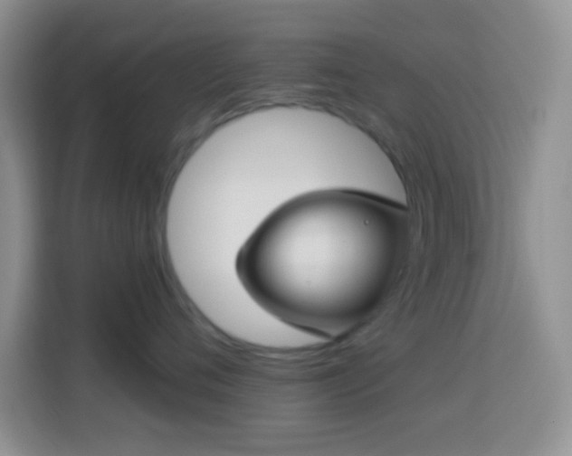 X0000113880720200910011132