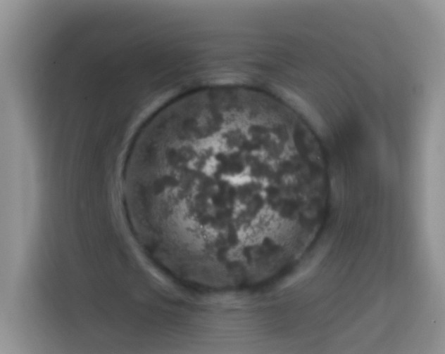 X0000113880721200910011132