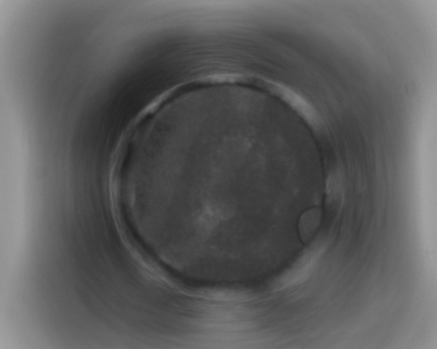 X0000113880722200910011132