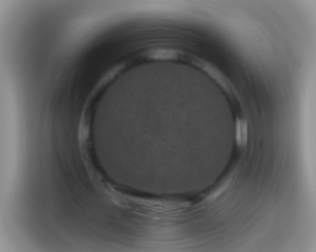 X0000113880723200910011132