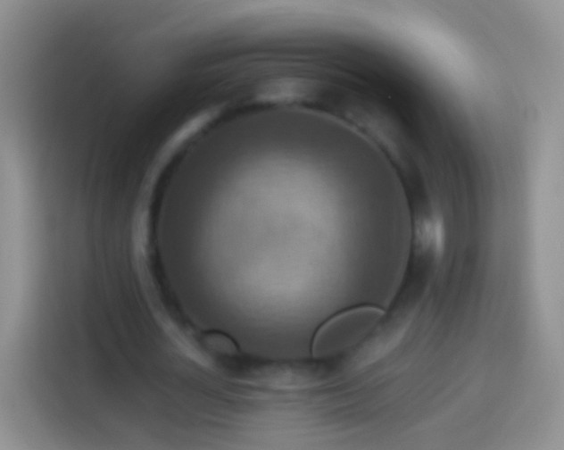 X0000113880724200910011132