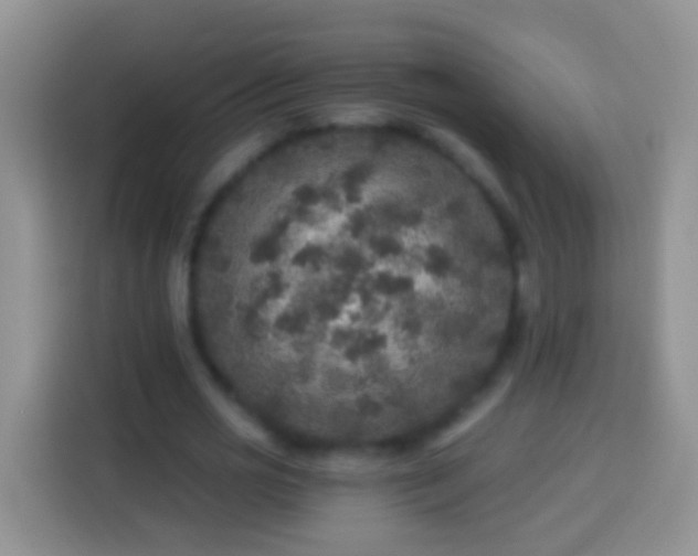 X0000113880725200910011132