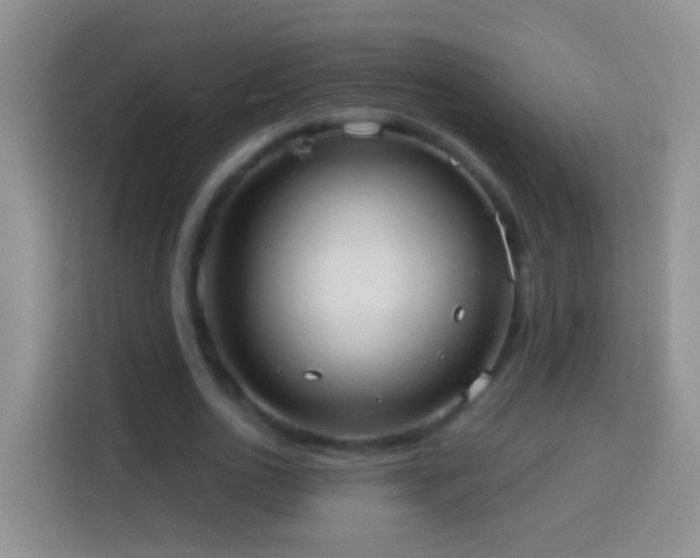 X0000113880726200910011132