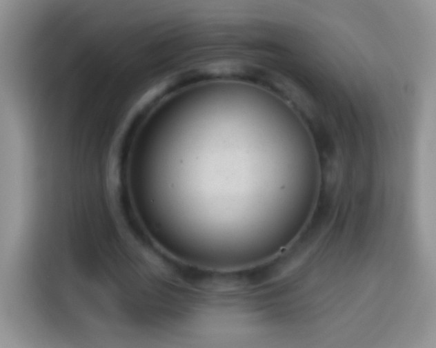 X0000113880727200910011132