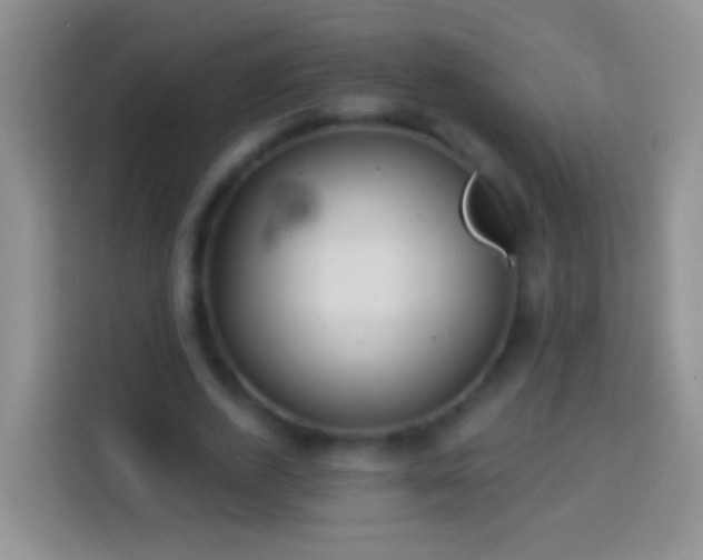 X0000113880728200910011132