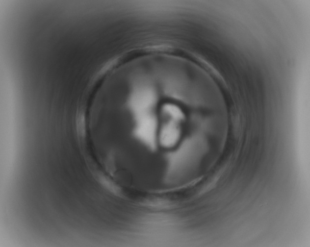 X0000113880729200910011132