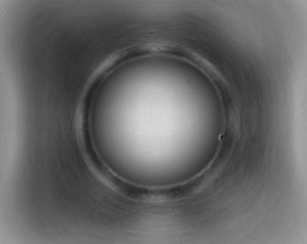 X0000113880730200910011132