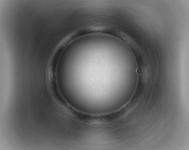 X0000113880731200910011132