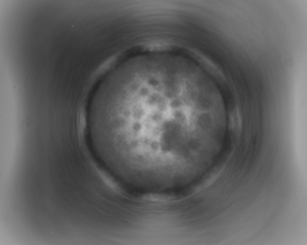 X0000113880733200910011132