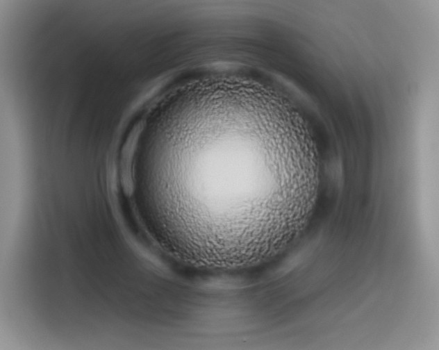 X0000113880734200910011132