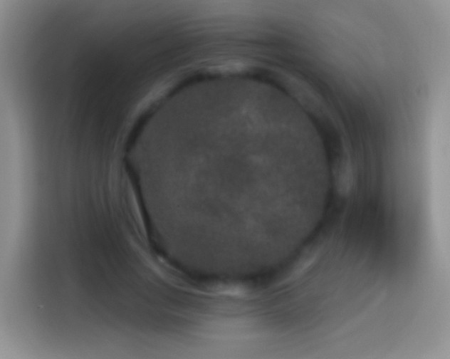 X0000113880735200910011132