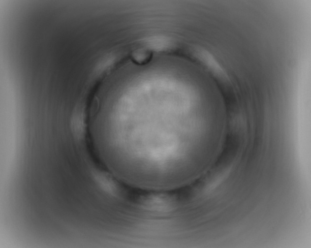 X0000113880736200910011132