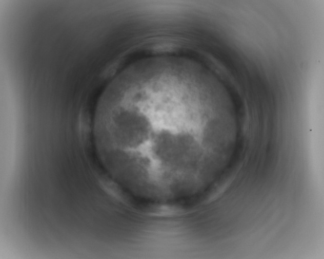 X0000113880737200910011132