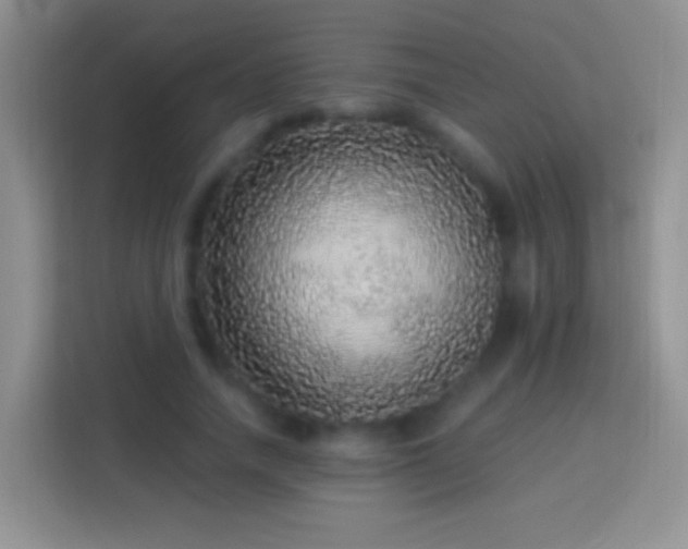 X0000113880738200910011132