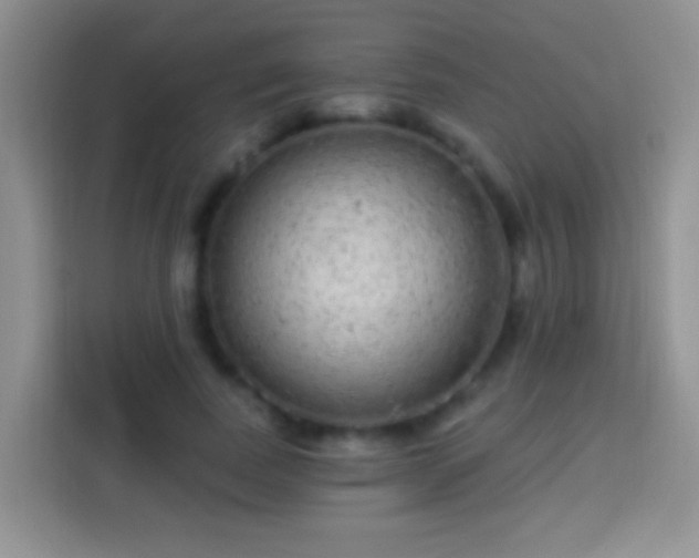 X0000113880739200910011132