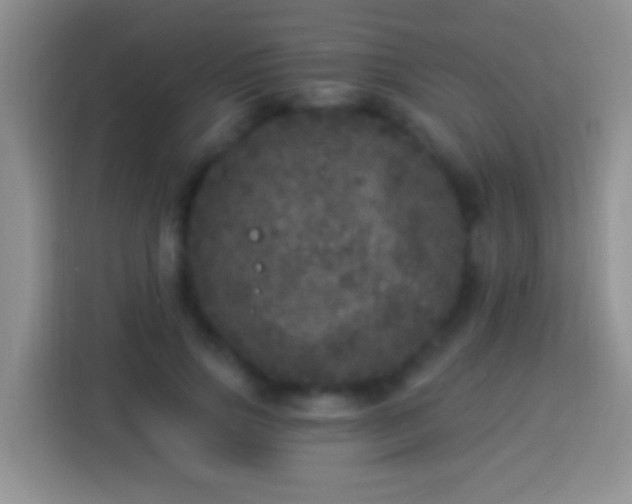 X0000113880741200910011132