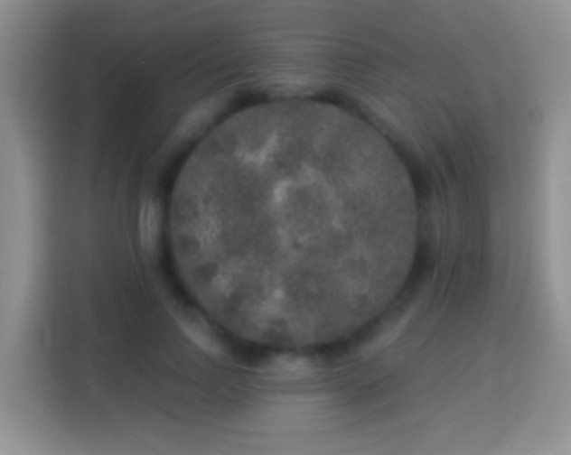 X0000113880742200910011132