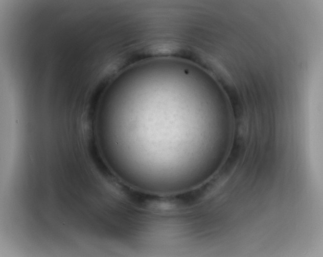 X0000113880743200910011132