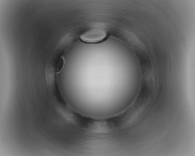 X0000113880744200910011132