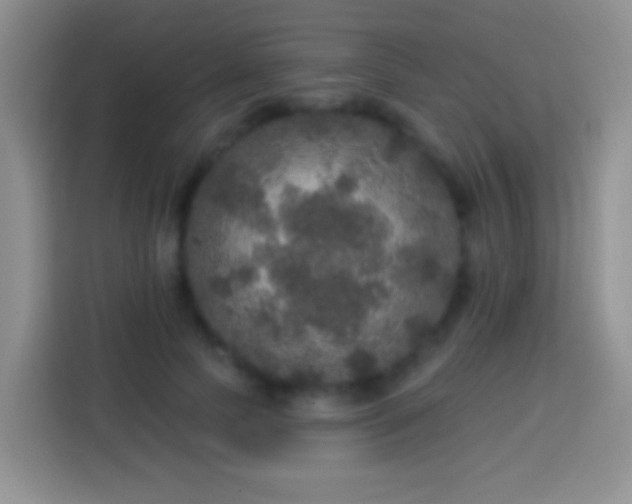 X0000113880745200910011132