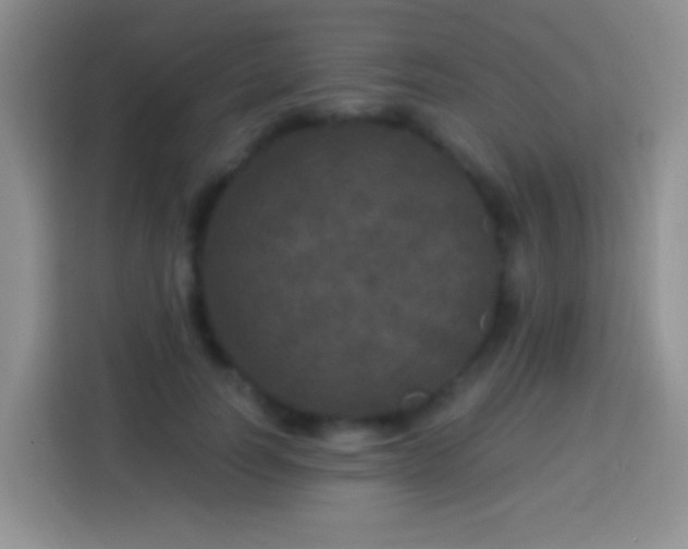 X0000113880746200910011132