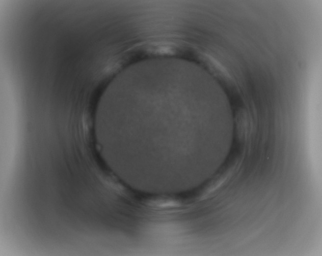 X0000113880747200910011132