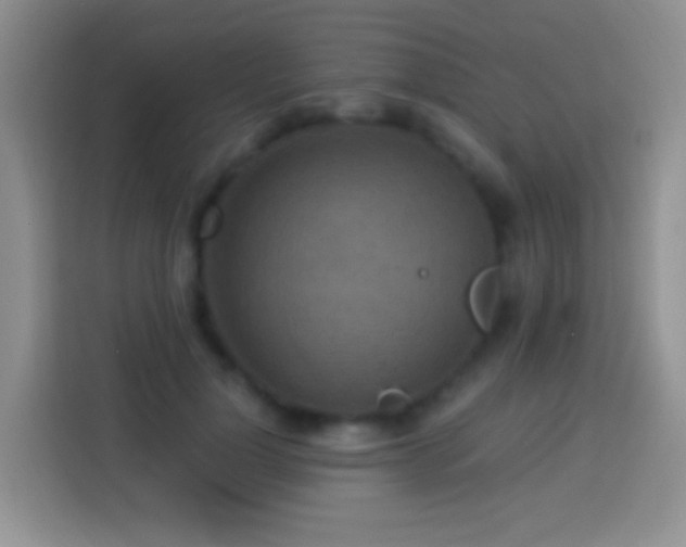 X0000113880748200910011132