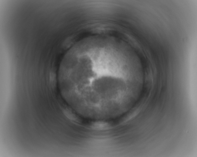 X0000113880749200910011132