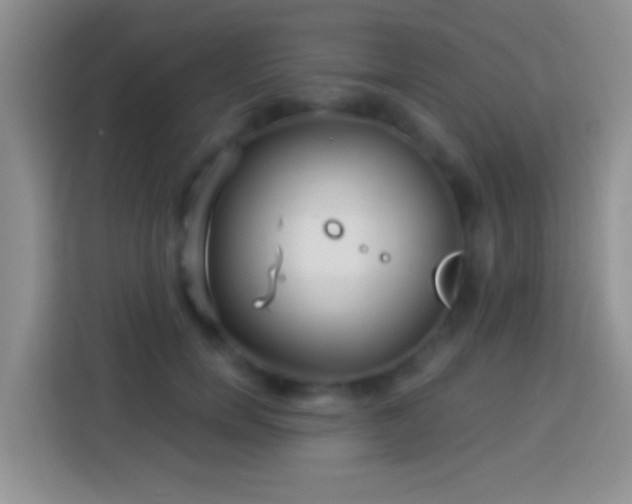 X0000113880750200910011132