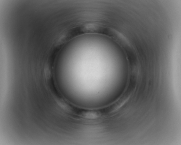 X0000113880751200910011132