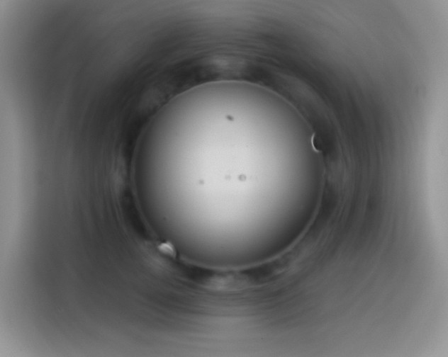 X0000113880752200910011132