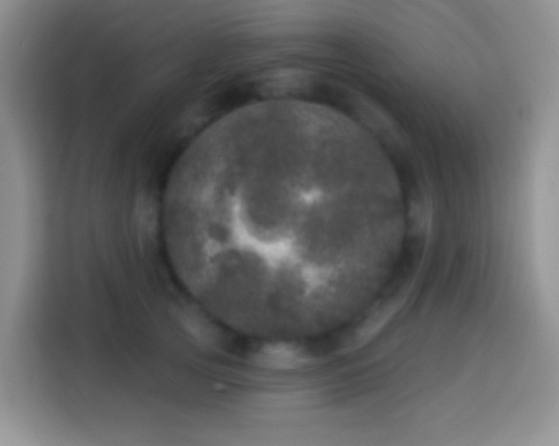 X0000113880753200910011132