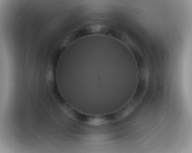 X0000113880754200910011132