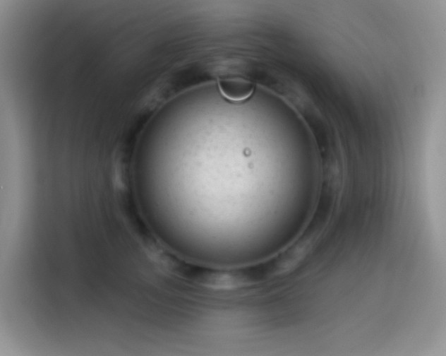 X0000113880755200910011132