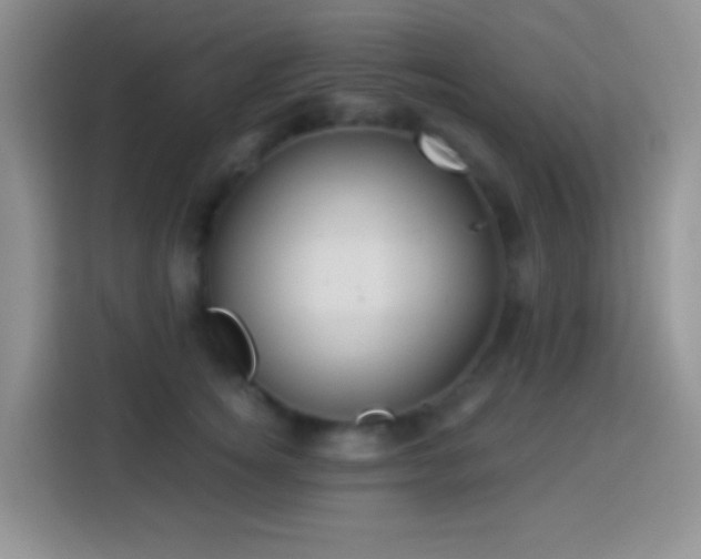 X0000113880756200910011132