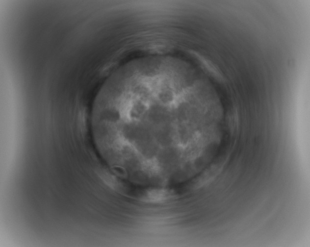 X0000113880757200910011132