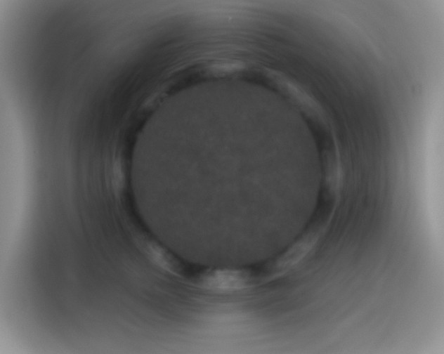 X0000113880758200910011132