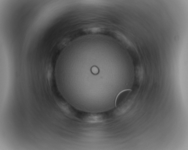 X0000113880760200910011132