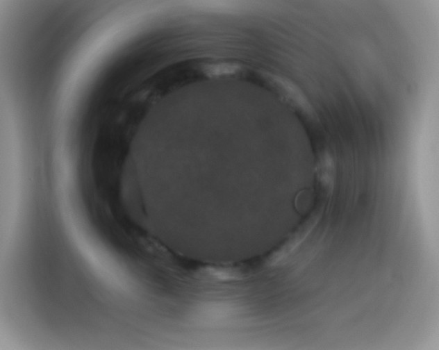 X0000113880763200910011132