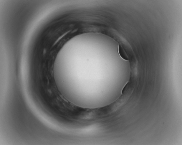 X0000113880764200910011132