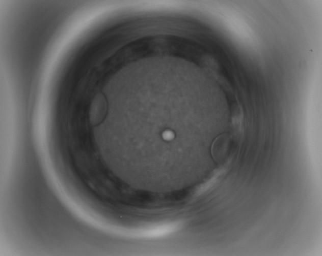 X0000113880765200910011132