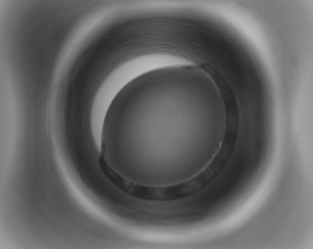 X0000113880766200910011132