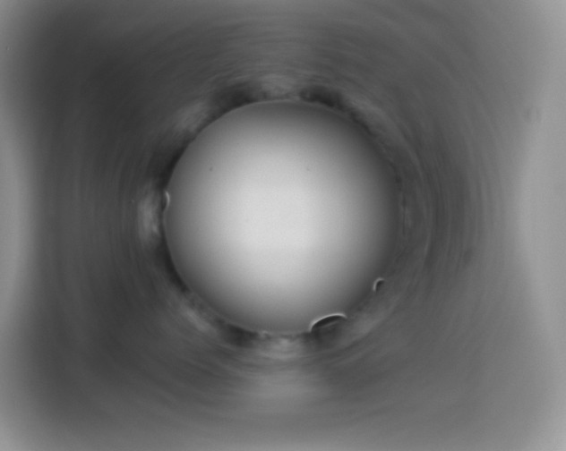 X0000113880768200910011132