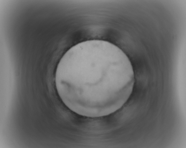 X0000113880769200910011132