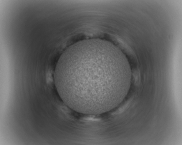 X0000113880770200910011132